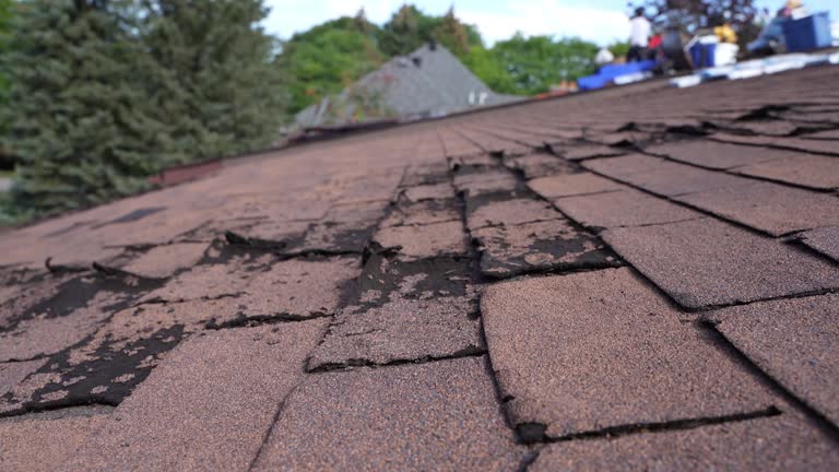 Best Tile Roofing Installation  in River Forest, IL