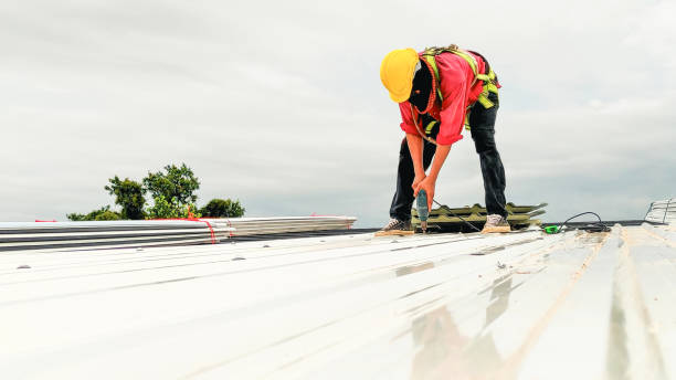 Best Storm Damage Roof Repair  in River Forest, IL