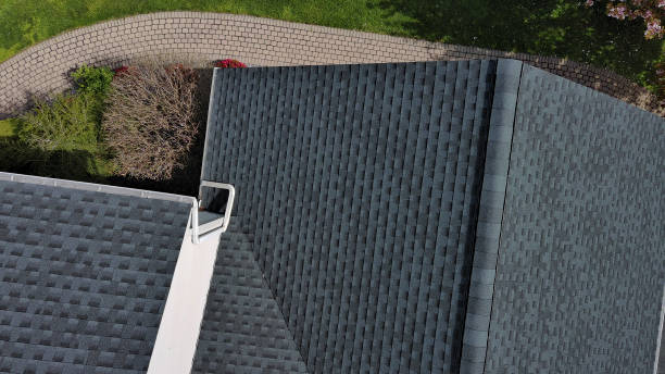 Best Solar Panel Roofing Installation  in River Forest, IL